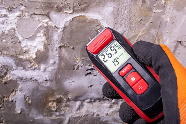 Best Certified Mold Removal  in Fall River, WI