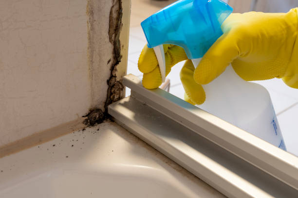 Best Professional Mold Removal  in Fall River, WI