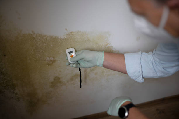 Best Water Damage Restoration  in Fall River, WI