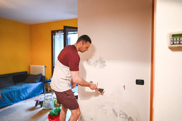 Best Residential Mold Removal  in Fall River, WI